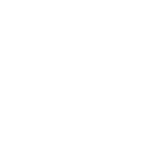 house-icon-white