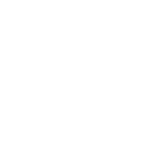 transporte-adaptado-white