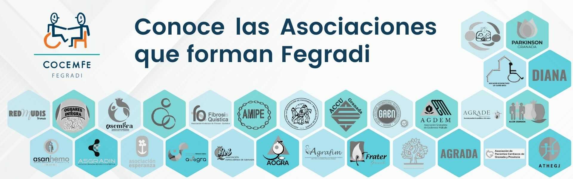 Conoce las asociaciones que forman Fegradi